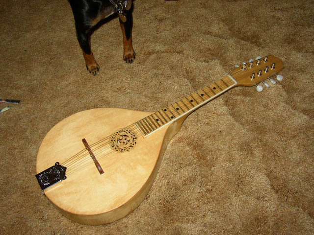 Refinished_mandolin_with_celtic_rosette1